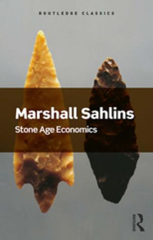 Cover of the book Stone Age Economics by Paul Kahan