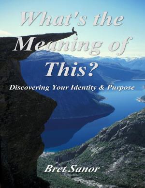 Cover of the book What's the Meaning of This? by Kevin Gibson