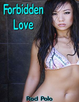 bigCover of the book Forbidden Love by 