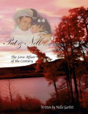 Cover of the book Pat and Nell by Kimberly Vogel
