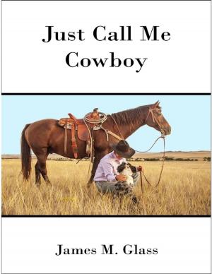 Book cover of Just Call Me Cowboy
