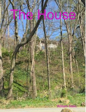 Cover of the book The House by Mathew Tuward