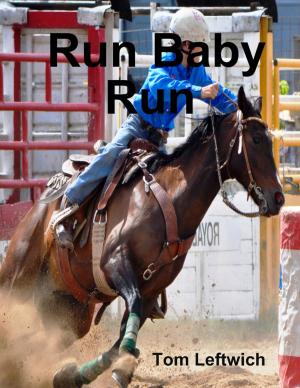 Cover of the book Run Baby Run by Clay Butler