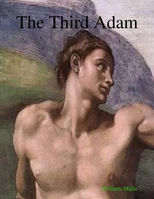 Cover of the book The Third Adam by Ken Champion