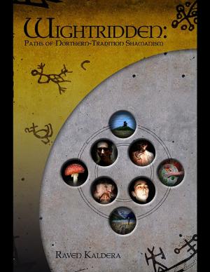 Book cover of Wightridden: Paths of Northern Tradition Shamanism