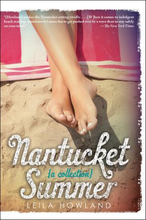 Book cover of Nantucket Summer