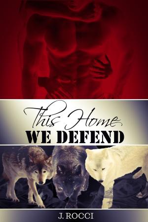 Book cover of This Home We Defend