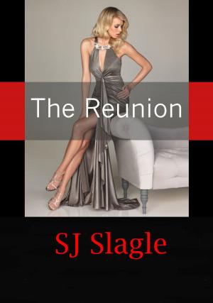Cover of the book The Reunion by Caitlin Sinead