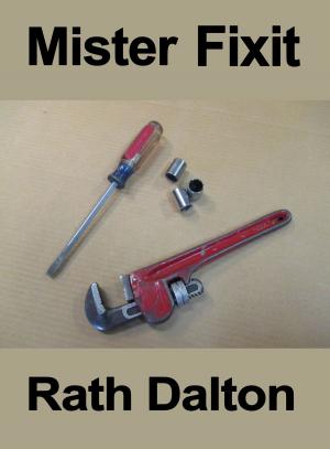 Book cover of Mister Fixit