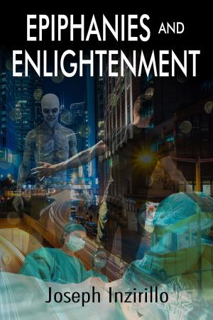 Book cover of Epiphanies and Enlightenment