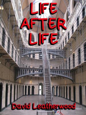 Book cover of Life After Life