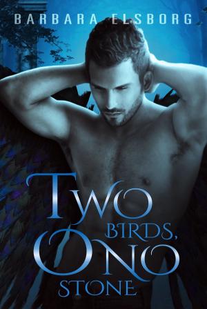 Cover of the book Two Birds, One Stone by Amber Jantine