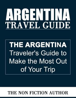 Book cover of Argentina Travel Guide