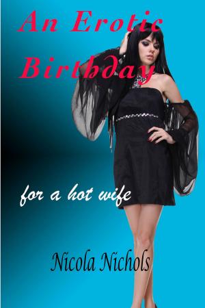 Book cover of An Erotic Birthday For A Hot Wife