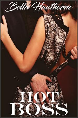 Cover of the book Hot Boss by Tyler Cox