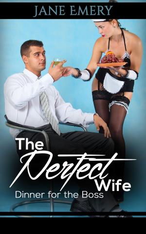 Book cover of The Perfect Wife: Dinner for the Boss