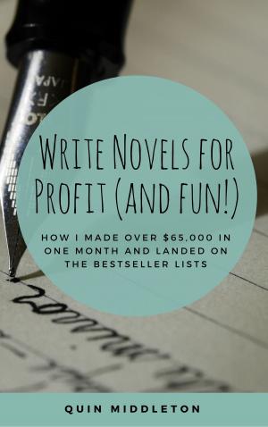 bigCover of the book Write Novels for Profit (and Fun!): How I Made $65,000 in One Month and Landed on the Bestseller Lists by 