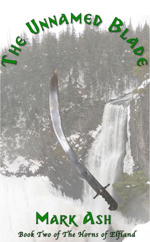Cover of the book The Unnamed Blade by Venkataraman Gopalakrishnan