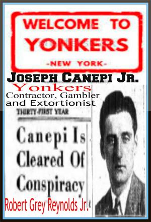 Cover of the book Joseph Canepi Jr. Yonkers Contractor, Gambler and Extortionist by Halil Aksu