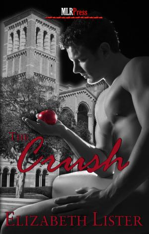 Cover of the book The Crush by Simone Anderson