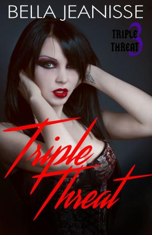 Cover of the book Triple Threat: Triple Threat Book 3 by Amy J. Fetzer