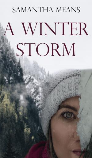 Cover of the book A Winter Storm by Leonard S. Bernstein