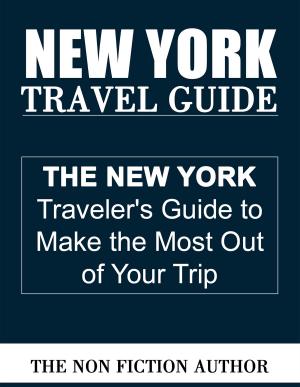 Cover of the book New York Travel Guide by Antonio Gálvez Alcaide