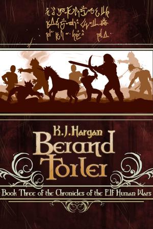 Cover of the book Berand Torler by Vincent Gaufreteau