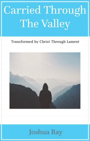 Book cover of Carried Through the Valley: Transformed by Christ Through Lament