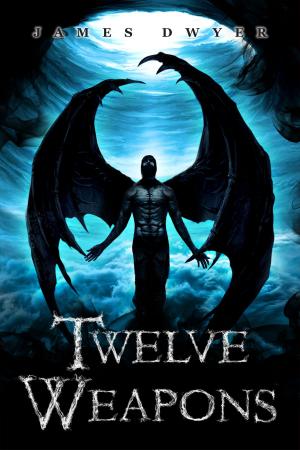Cover of the book Twelve Weapons by Joshua Robertson