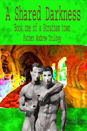 Book cover of A Shared Darkness (Book One of a Stratham Town Father Andrew Trilogy)