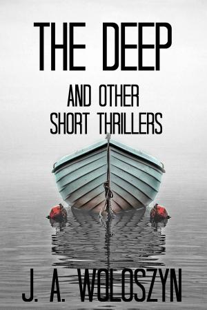 Cover of the book The Deep and Short Thrillers by Benjamin Hatfield