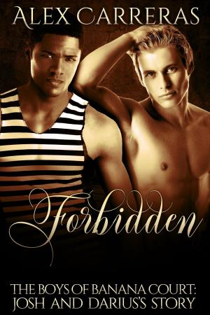 Cover of the book Forbidden: The Boys of Banana Court: Josh and Darius's Story by Johnny Dragona