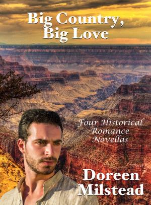 Cover of the book Big Country, Big Love: Four Historical Romance Novellas by Amy Rollins, Vanessa Carvo, Bethany Grace, Helen Keating