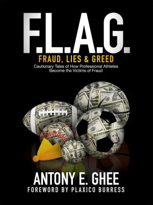 Cover of the book F.L.A.G. (Fraud, Lies & Greed) by Kevin Solimon