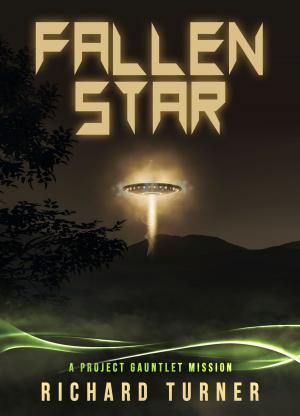 Book cover of Fallen Star