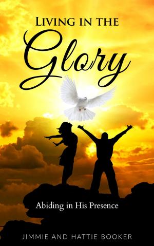 bigCover of the book Living in the Glory: Abiding in His Presence by 