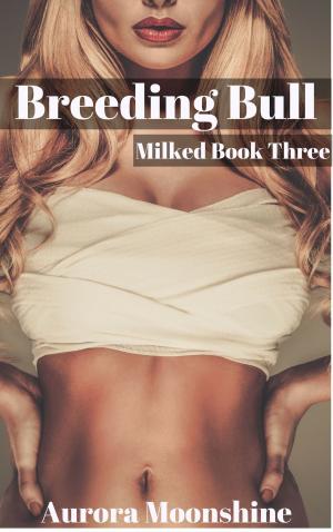 Cover of the book Breeding Bull by Brenna Lyons