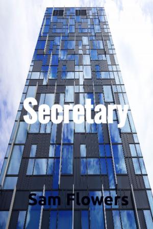 Cover of the book Secretary by Nicole Hadaway