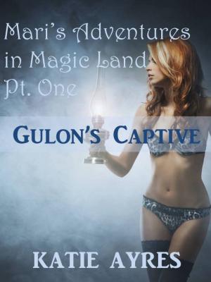 Book cover of Mari's Adventures in Magic Land Pt. One: Gulon's Captive