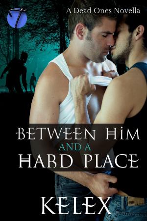 Cover of the book Between Him and a Hard Place by Miranda Marks