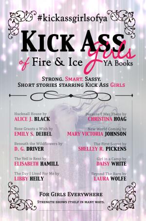 Book cover of Kick Ass Girls of Fire & Ice YA Books