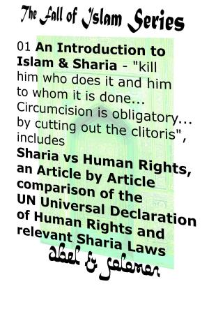 Book cover of An Introduction to Islam & Sharia "Kill Him Who Does it and Him to Whom it is Done.. Circumcision is Obligatory.. by Cutting Out the Clitoris" Sharia vs Human Rights, an Article by Article Comparison