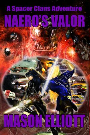 Cover of the book Naero's Valor by Luigi Brasili