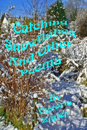 Book cover of Catching Snowflakes And Other Poems