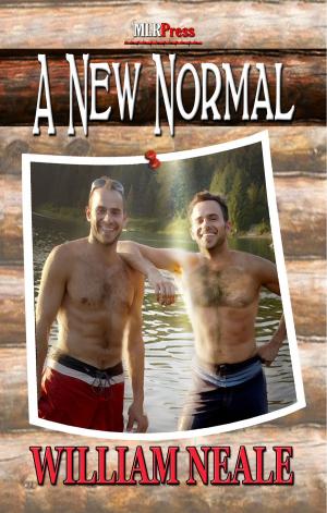 Cover of the book A New Normal by Pelaam