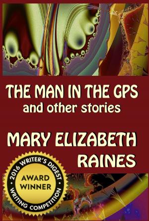 Book cover of The Man in the GPS and Other Stories