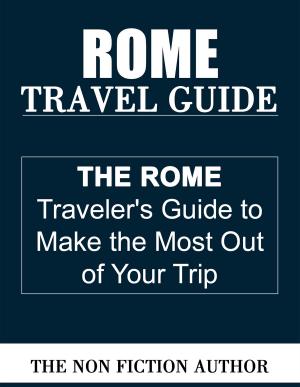 Book cover of Rome Travel Guide