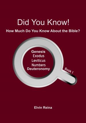 Cover of the book Did You Know! How Much Do You Know About the Bible? Book 1 by Sheila K. Alewine
