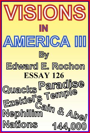 Cover of the book Visions in America III by Edward E. Rochon